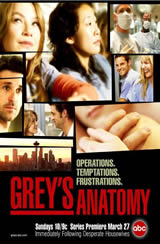 Greys Anatomy 8x10 Sub Español Online