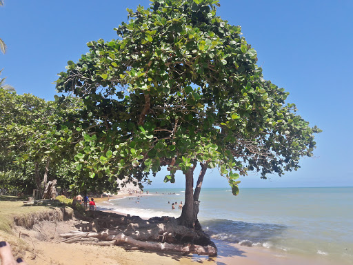 Enseada do Espelho
