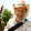 Nathan Tolbert Nathan Tolbert's profile photo