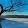 Christophe Gervason Christophe Gervason's profile photo