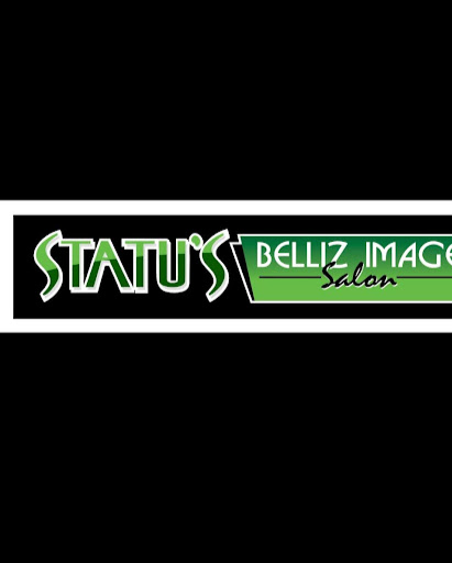 Statu's Belliz Image Salon logo
