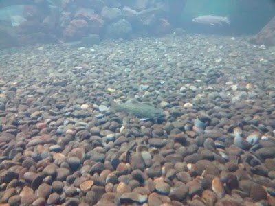 Photos of Acuario Tem&aacute;tico