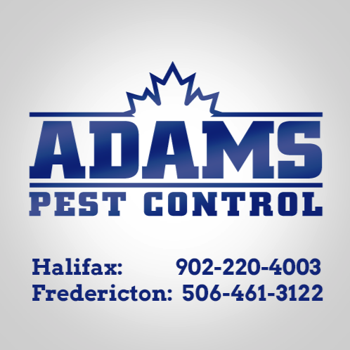 Adams Pest Control Saint John logo