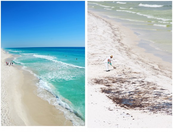 Oil Spill Before/After by Cheryl Casey