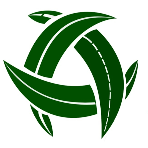 ALVIANO FRANCESCO logo