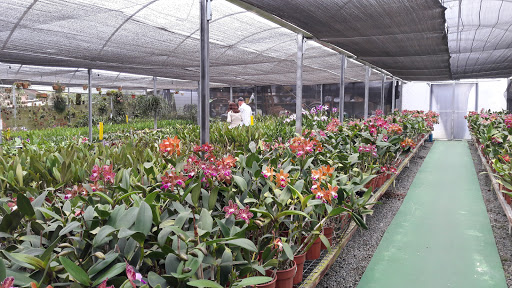 Orquidário Durigan