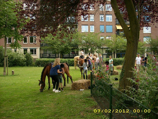 Braderie Deppenbroek 060.jpg