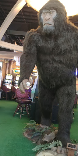 Casino «Sasquatch Casino», reviews and photos, 125 Gregory St, Black Hawk, CO 80422, USA