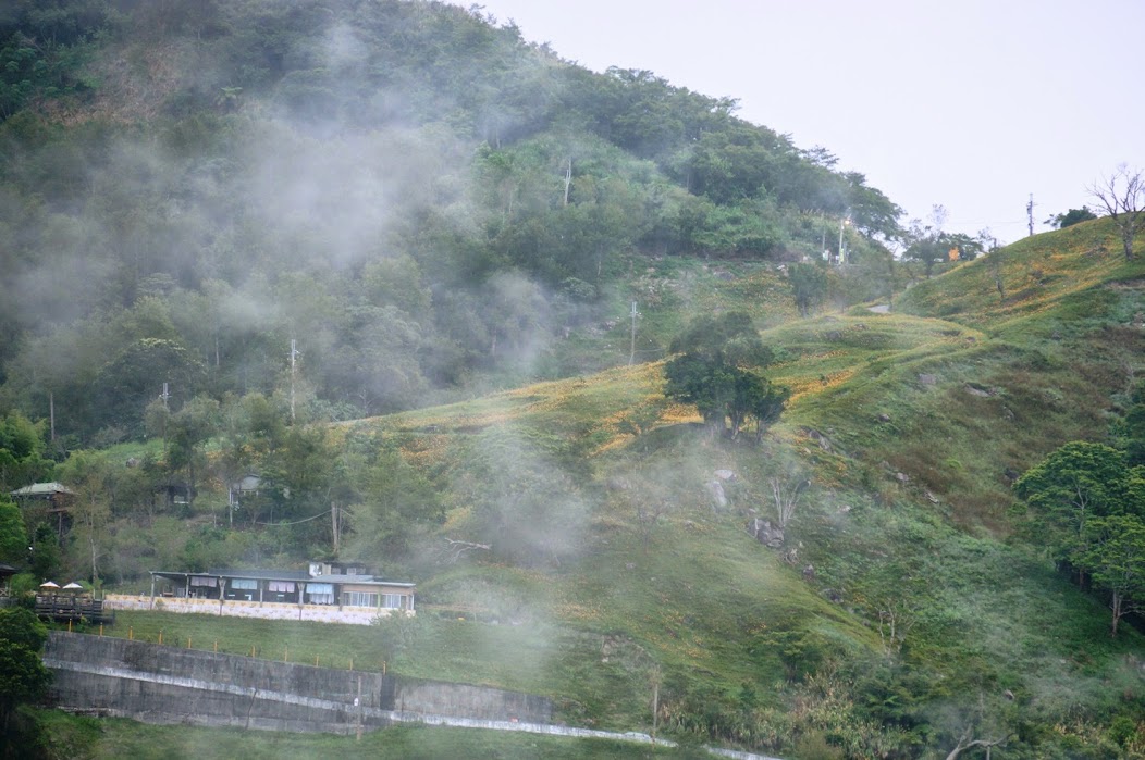 台東景點推薦【太麻里金針山】夏季限定太麻里金針花季