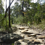 Rocky track South of Berowra Heights (332063)