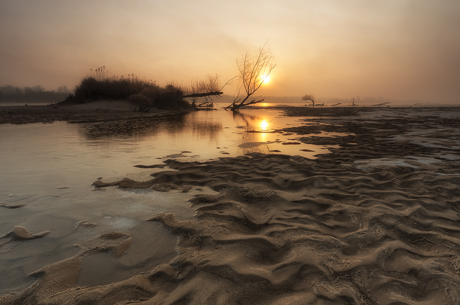 _IGP6694.jpg