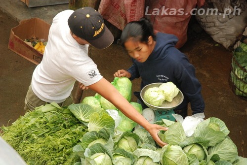 Vegetable Vendor at Mount Polis