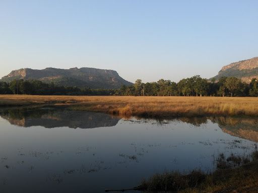 Kings Lodge - Bandhavgarh National Park