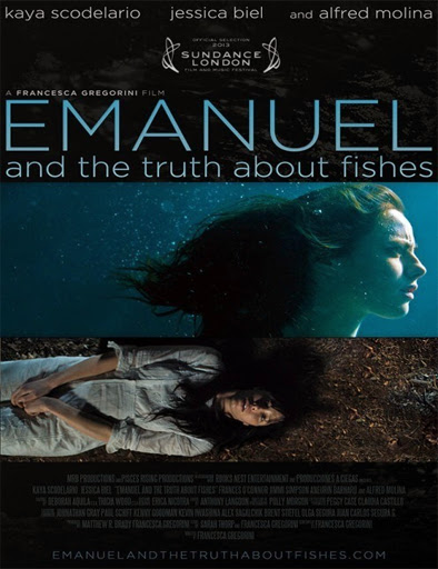 Poster de The Truth About Emanuel