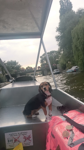 Boaty Rent a Boat Amsterdam