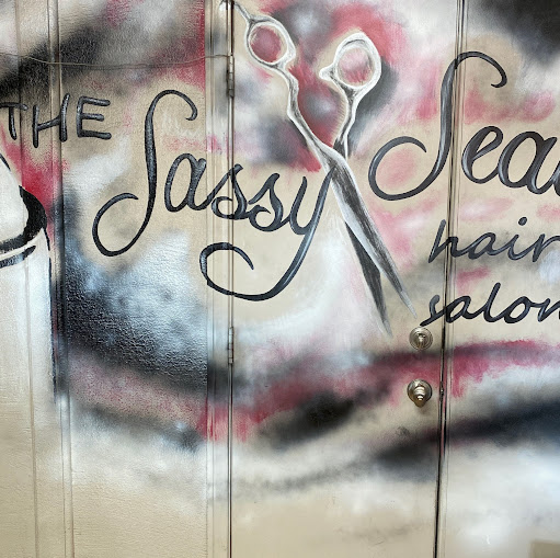 THE Sassy Seale Hair Salon