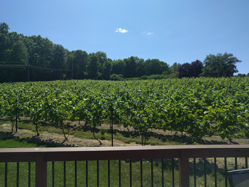 Vineyard «Lost Acres Vineyard», reviews and photos, 80 Lost Acres Rd, North Granby, CT 06060, USA