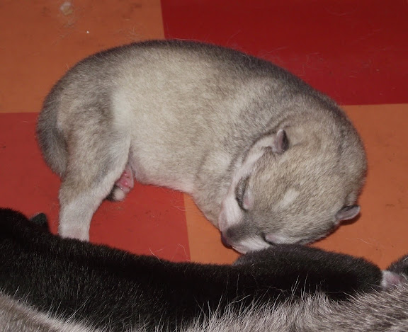 20110610%252520004.jpg