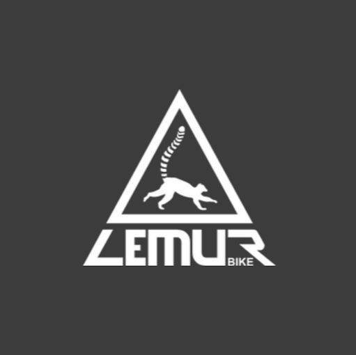 LEMUR BIKE - Lastenrad | Enduro MTB | Gravel Bike | BMX – Graz