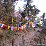 Photo de la galerie "Dharamsala: le Tibet au coeur de l