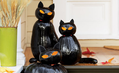 DIY Halloween outdoor black cat o'lanterns using pumpkins