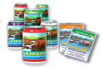 Lasegar