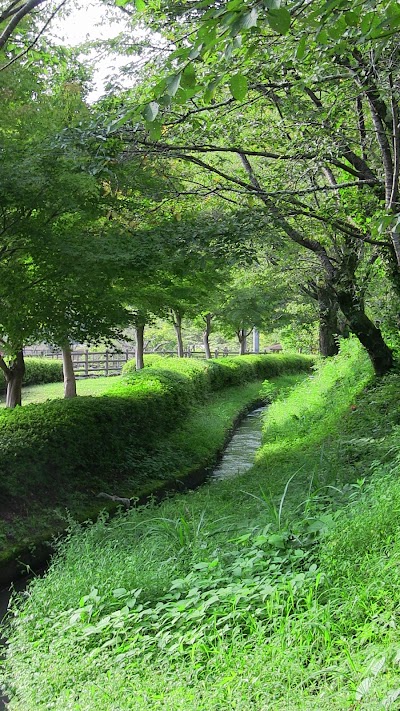 Photos of Kawashiro Park Camping Ground