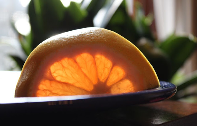 a slice of grapefruit standing on edge with the sun shining through