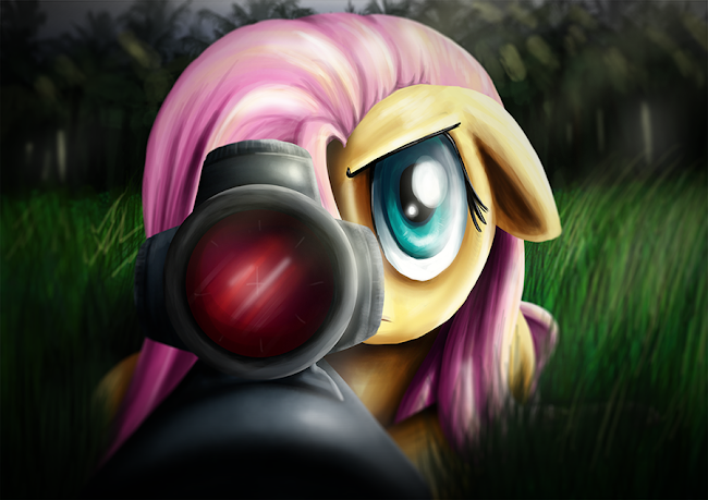 SniperFluttershy.png