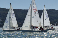 J/24s sailing one-design off Australia