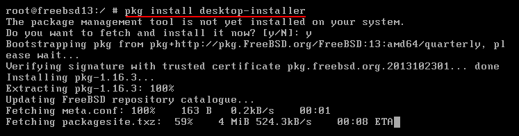 FreeBSD Cannot Connect To The Internet: pkg [fixed]. Source: nudesystems.com