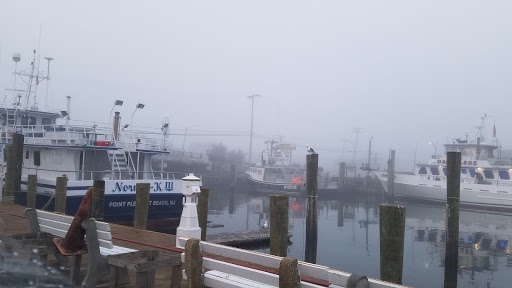 Point Lobster Co