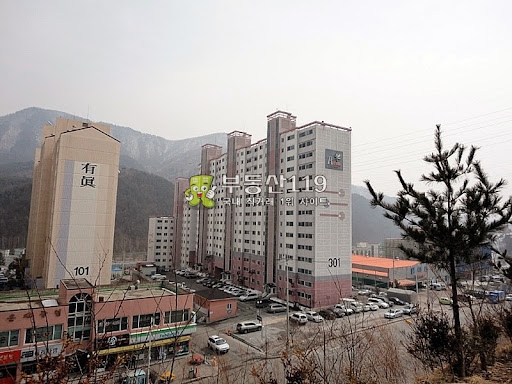Daum카페