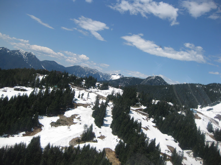 Grouse Mountain from above