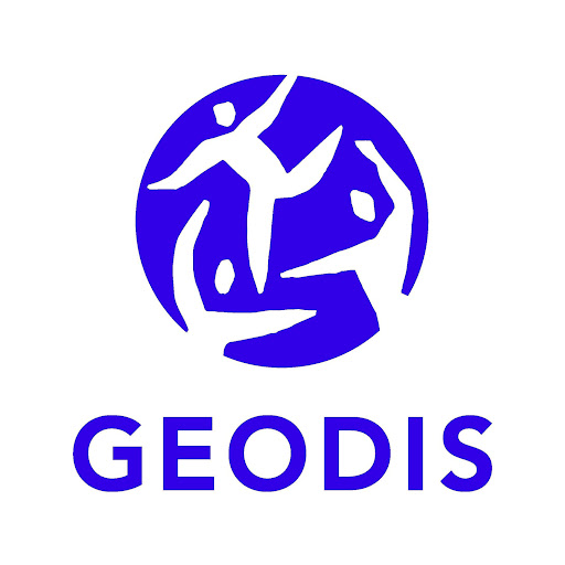 GEODIS | Distribution & Express logo