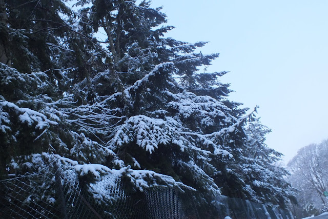 Snow on Campus