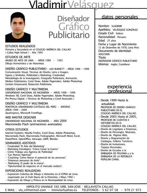 Ejemplo De Curriculum Vitae Profesional Mexico Quality Essay Writing