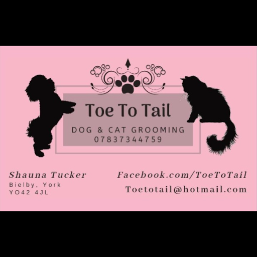 Toe To Tail - Dog & Cat Grooming