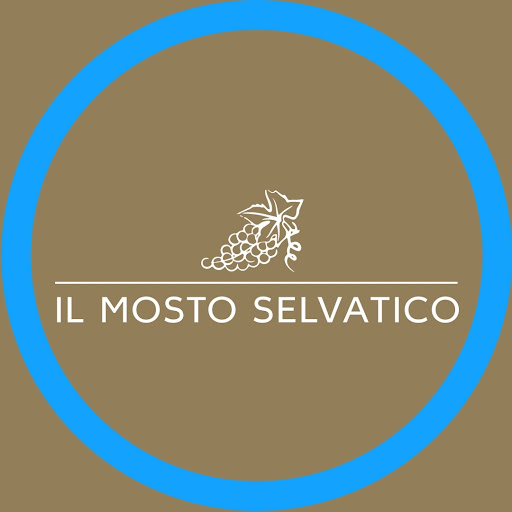 Il Mosto Selvatico logo