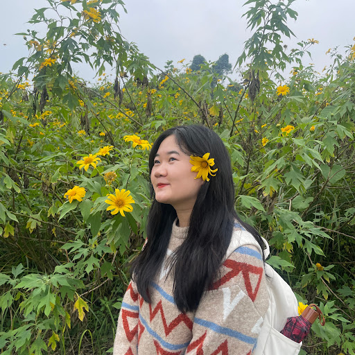 Thùy Linh Phạm Thị