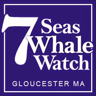 7 Seas Whale Watch logo