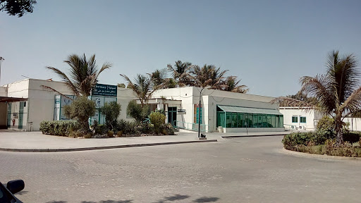 Cedars Jabel Ali International Hospital, Street No.2, Jebel Ali Freezone - Dubai - United Arab Emirates, Hospital, state Dubai