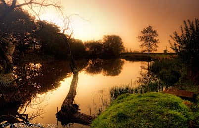 நேச்சுரல்...... Golden-Pond