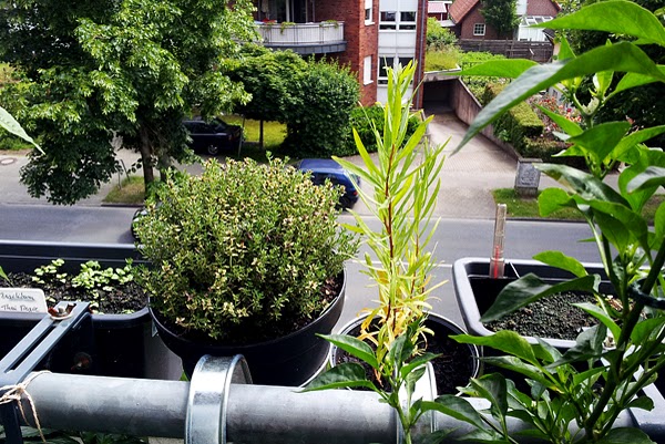 2014-06-04+11.35.45_klein.jpg