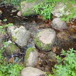 Alum Creek beside camping area (415412)