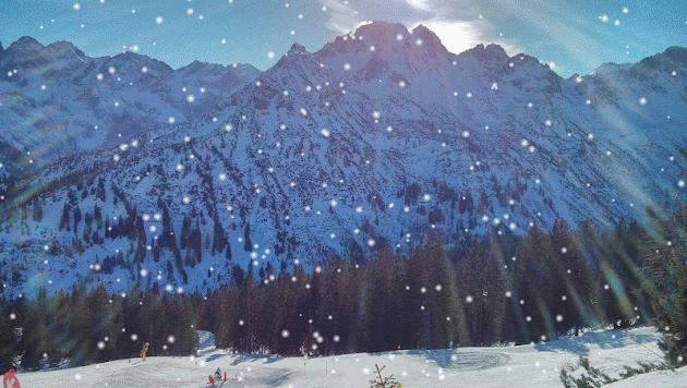 Cover photo