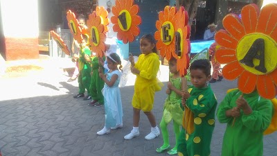 Photos of Museo Regional Tlahuica