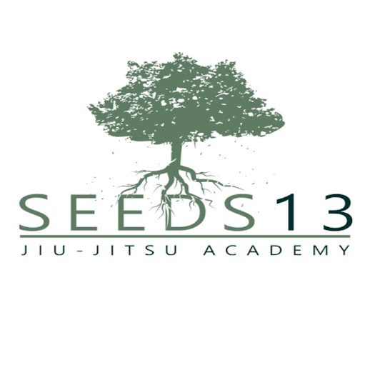 Seeds 13 Jiu-Jitsu Academy - San Angelo, TX logo