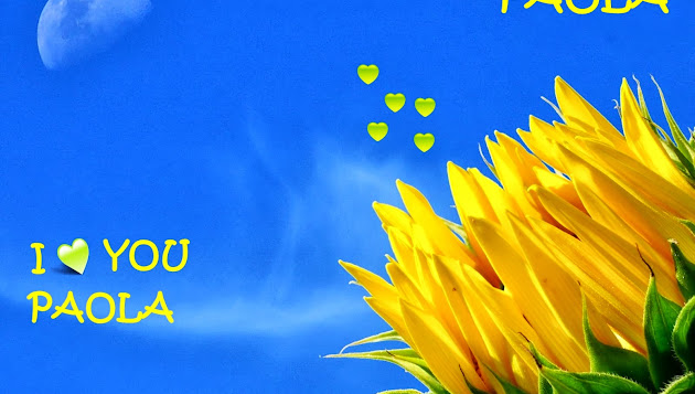 Cover photo