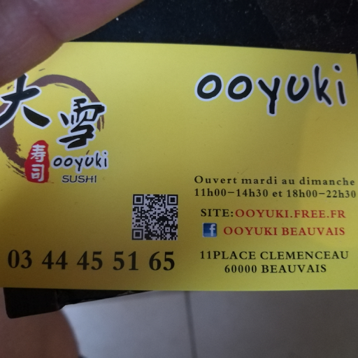 Ooyuki logo